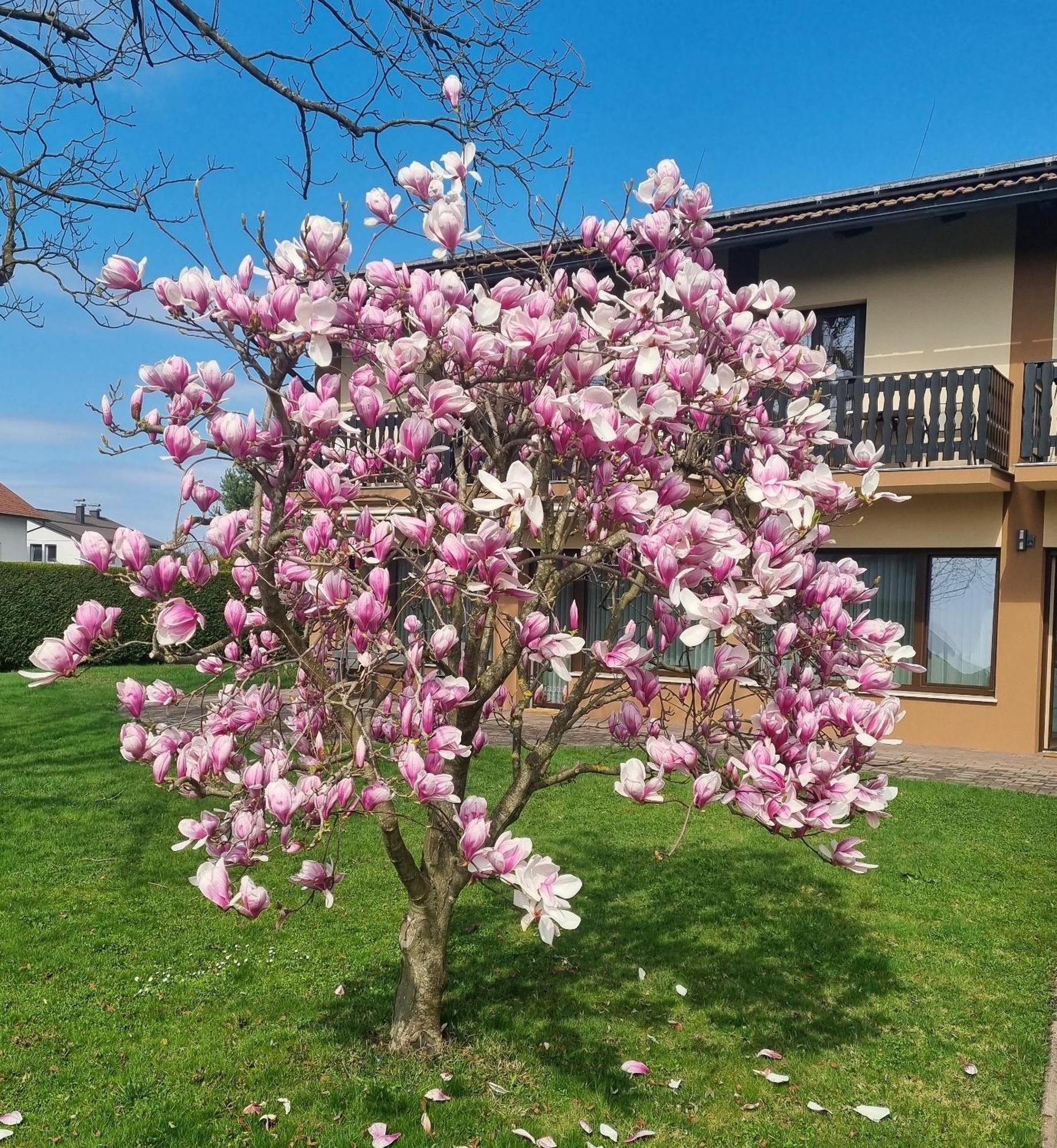Apartments Ad Radenci Luaran gambar